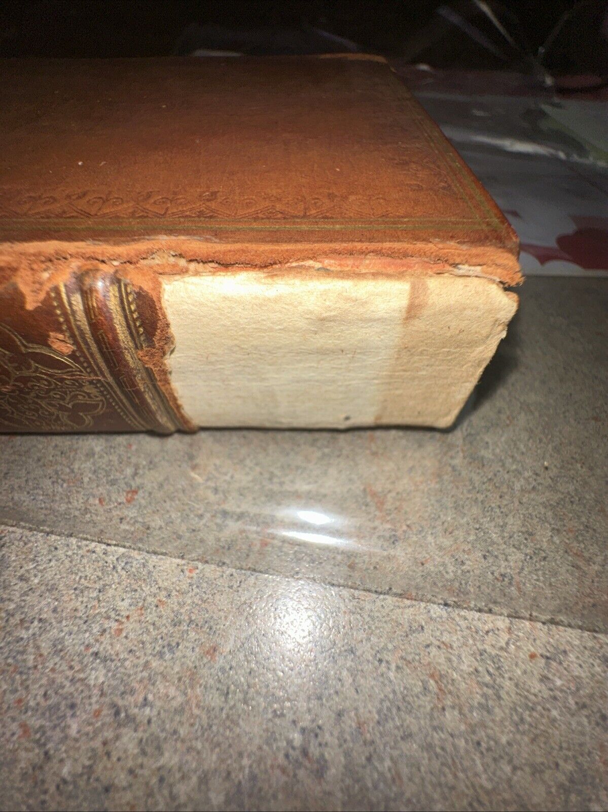 Foto 10 di 17