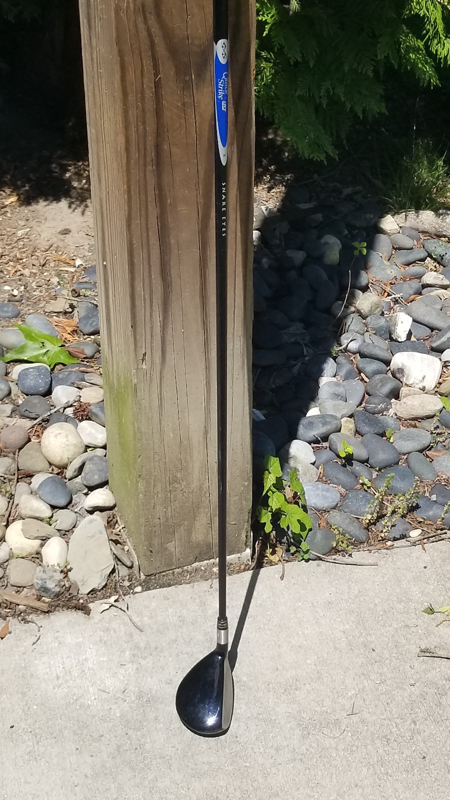 Picture 2 of 23