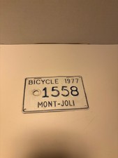 eBay Auction Picture