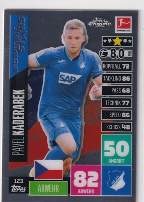 Benjamin Hübner Hoffenheim 113
