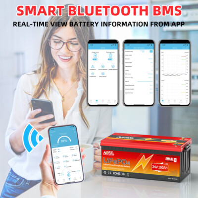24V 100Ah LiFePO4 Bluetooth Lithium Batterie 100A BMS Solar Wohnmobil Boot RV