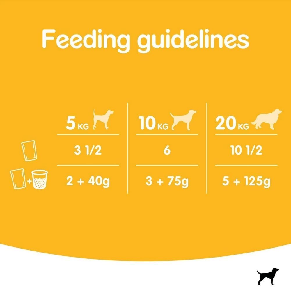 Pedigree Wet Adult Dog Food Pouch Adult Favourites In Gravy 80 x 100g