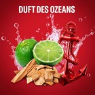 Bild 8 von 9