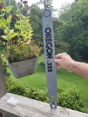 Image of Tanaka ECV-4500 chainsaw on eBay website