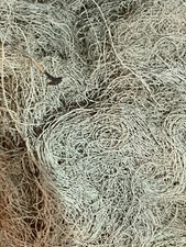 1 oz USNEA MOSS Lichen (Usnea Barbata) Old Mans Beard, SURVIVAL MOSS, FAST Ship
