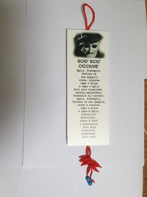 Schild Kennzeichen FOREX 7,5x20 CM Skifahren Cicciuve Toto lustig Amulette