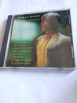 DAMON BROWN A BIGGER PICTURE CD 2001 ALBUM RICO RODRIGUEZ FREE UK POST