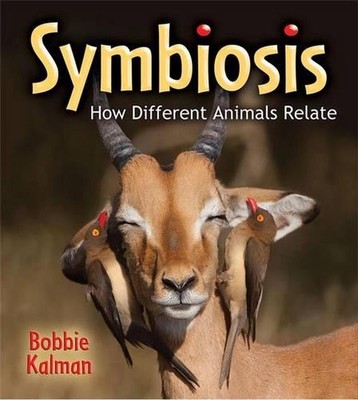 Symbiosis: How Different Animals Relate by Bobbie Kalman (English) Paperback Boo