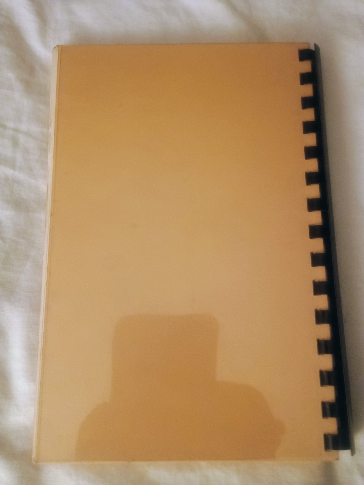 Picture 2 of 12