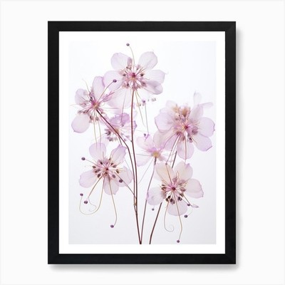 Pressed Wildflower Botanical Art Me Gerahmtes Wandbild Poster Leinwanddruck Bild