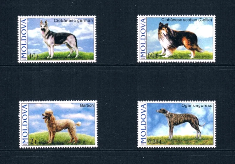 Valor Scott a $4,25 - 2006 Perros Moldova Razas Europeas CV MNH NH UMM Foto 3 de 4