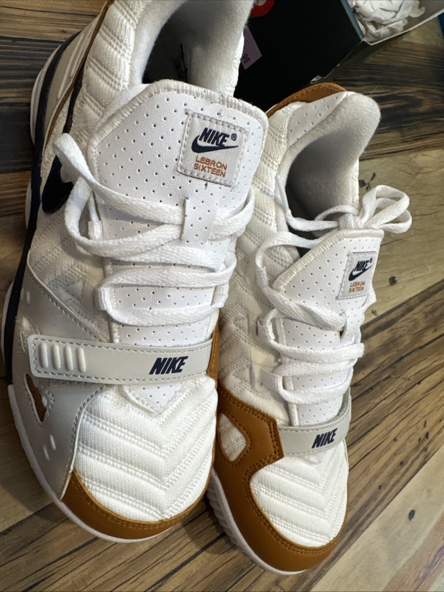 lebron medicine ball shoes