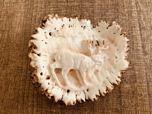 Vintage Hand Carved Elk Antler Base , Mule Deer Design Approx. 3.5 W X 3.25 H