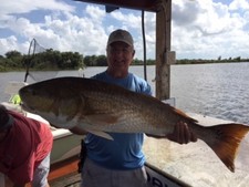 3 BTS "Bull Basher" 3.25" Popping Corks, Redfish, Sheephead 1/2 oz.weighted 
