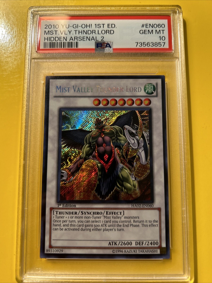 YuGiOh MIST VALLEY THUNDER LORD #HA02-EN060🔥PSA 10 GEM🔥1st ED