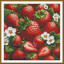Counted Cross Stitch Kit DIY unprinted canvas Strawberries embroidery craft 3570