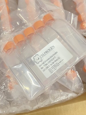 NEW (47 Pcs) Celprogen E77015-08-T75 Matrix T75 Tissue Lab Cell Culture Flasks