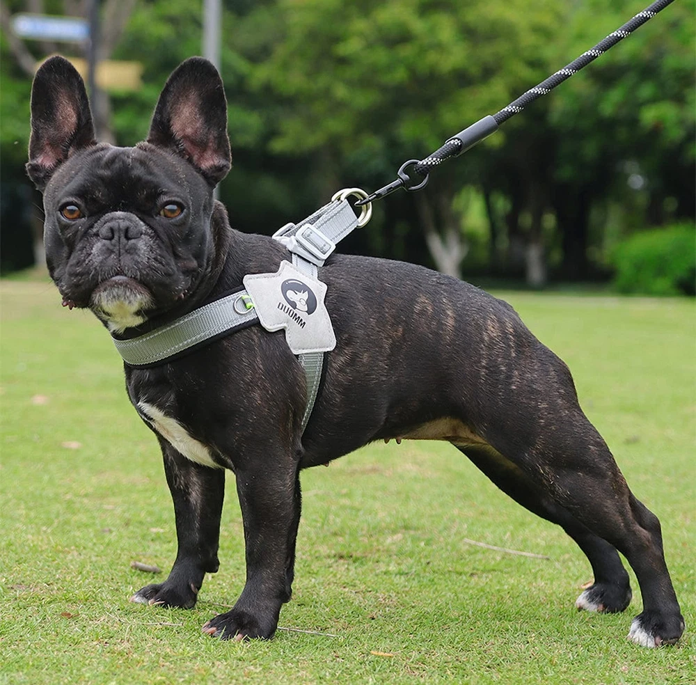 Dog Harness Y-Shaped Harness Breathable Heat Dissipation Easy to Wear Night R...
