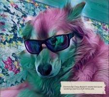 Democrat Dog - SpaceBuddees - Card NFT - Mint 5/10 - RARE! - Wax Blockchain