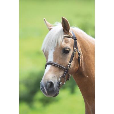 Shires Velociti Gara Drahtreifen Inhand Trense - schwarz