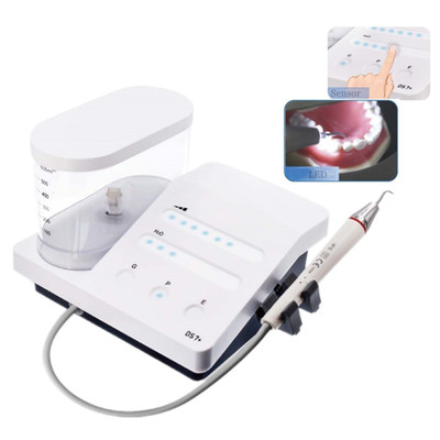 DS7+ LED Touch Control Dental Perio Endo Ultrasonic Scaler Teeth Cleaner Machine