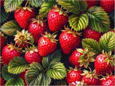 Tile Mural Fresh Strawberry Ripe Berries Kitchen Wall Backsplash Marble Ceramic