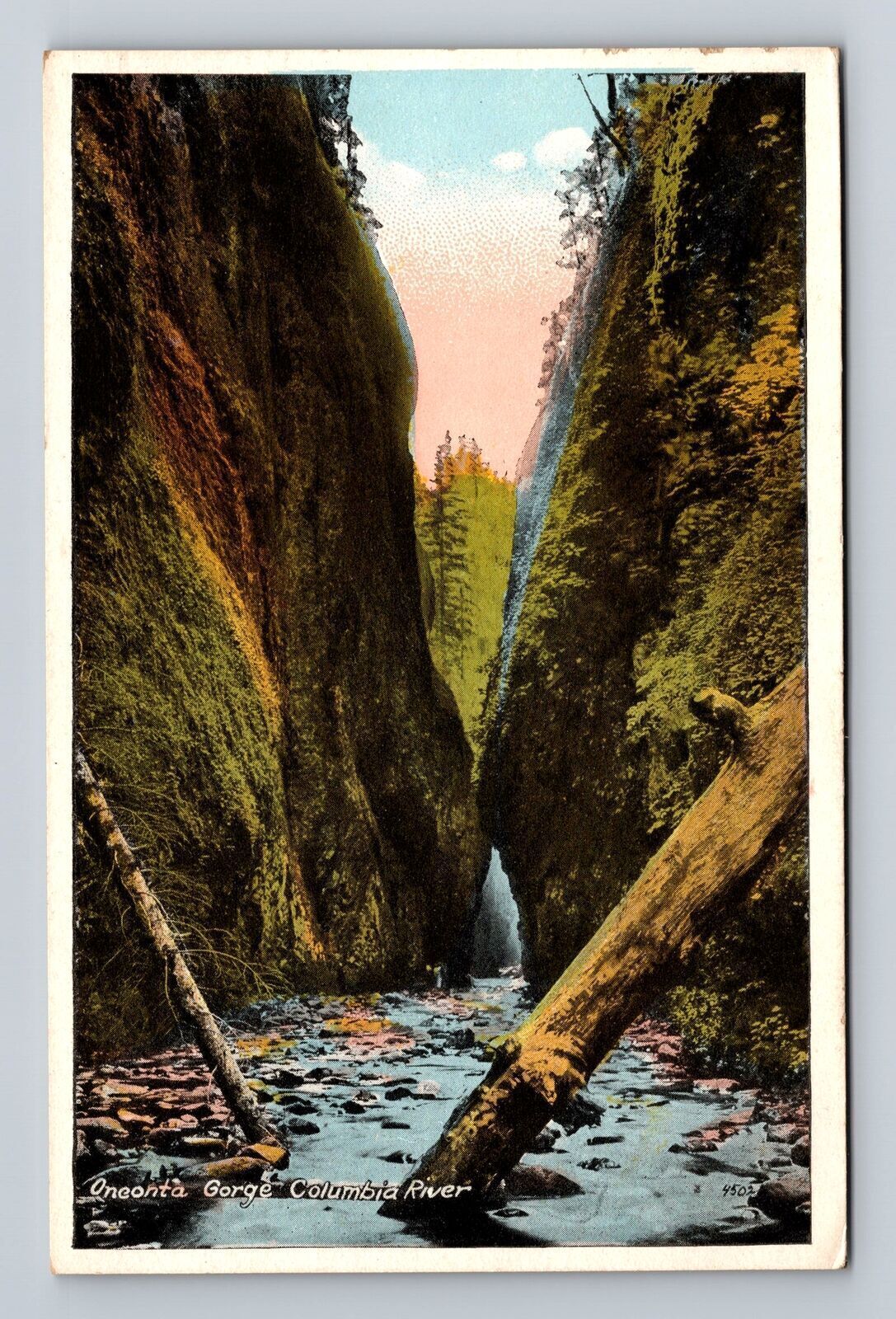Vintage Portland Oregon postcard featuring Oneonta Gorge and Columbia River  
