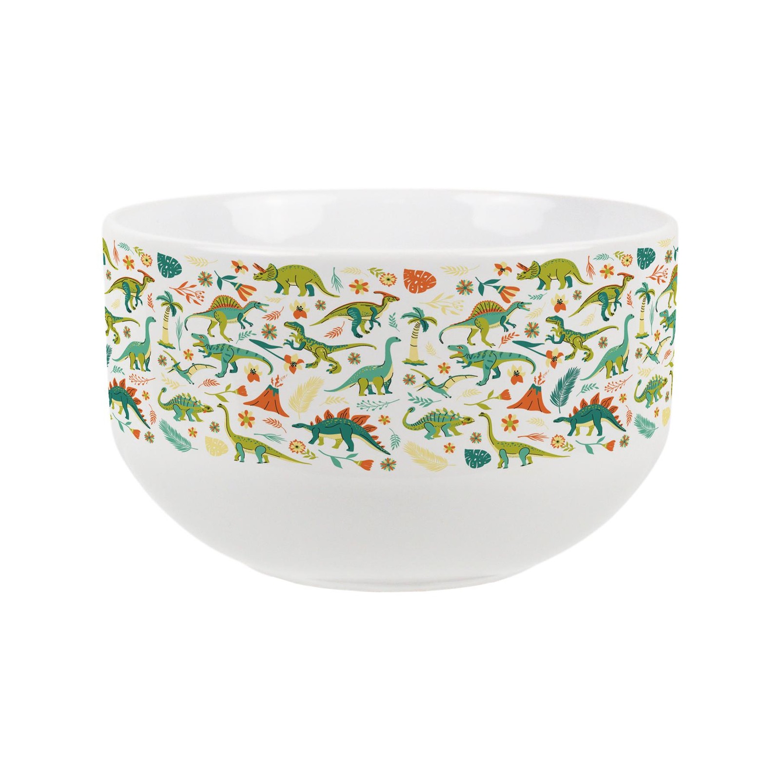 Dinosaur Print Ceramic Bowl - Large Cereal Bowl Novelty Dinnerware Gift