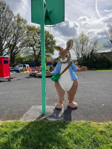 Mascots Of Cheshire - Picture 3 of 24