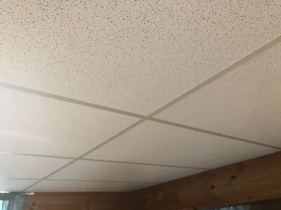 Demolition Salvage Sale Suspended Ceiling Approx 8x6