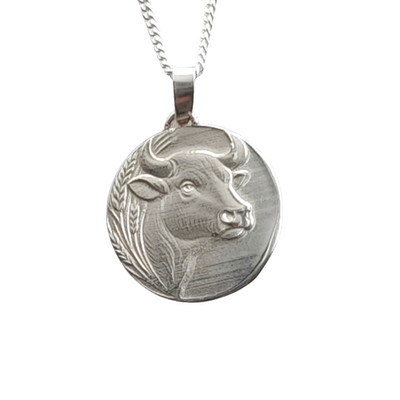 Stier Sternzeichen Halskette Sterlingsilber Stier Anhänger Scheibe Geschenk April Mai