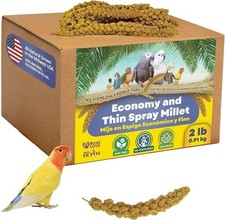 Birds LOVE Economy  Thin Special Spray Millet All Parrots Healthy Treat - 2lbs
