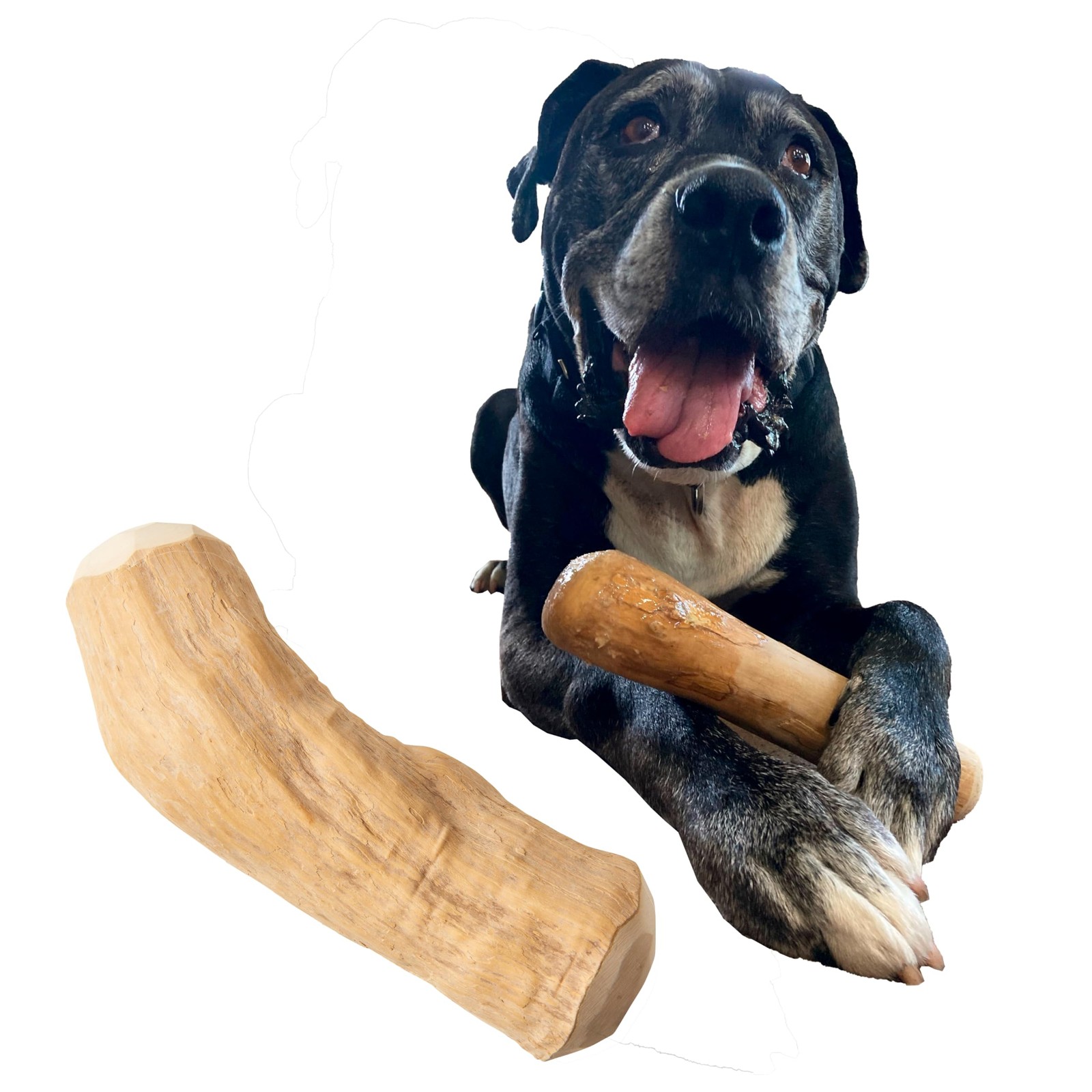 Extra Large Coffee Wood Dog Chew Spot Love the Earth Natural