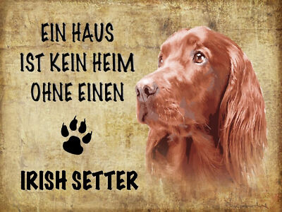 Holzschild 30x40 Irish Setter Hund Wand Deko Cafe Sammler Geschenk
