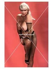 CANDY SAMPLES #114 - Vintage Pinup - 8.5x11 Art Print by PrintStudioGallery