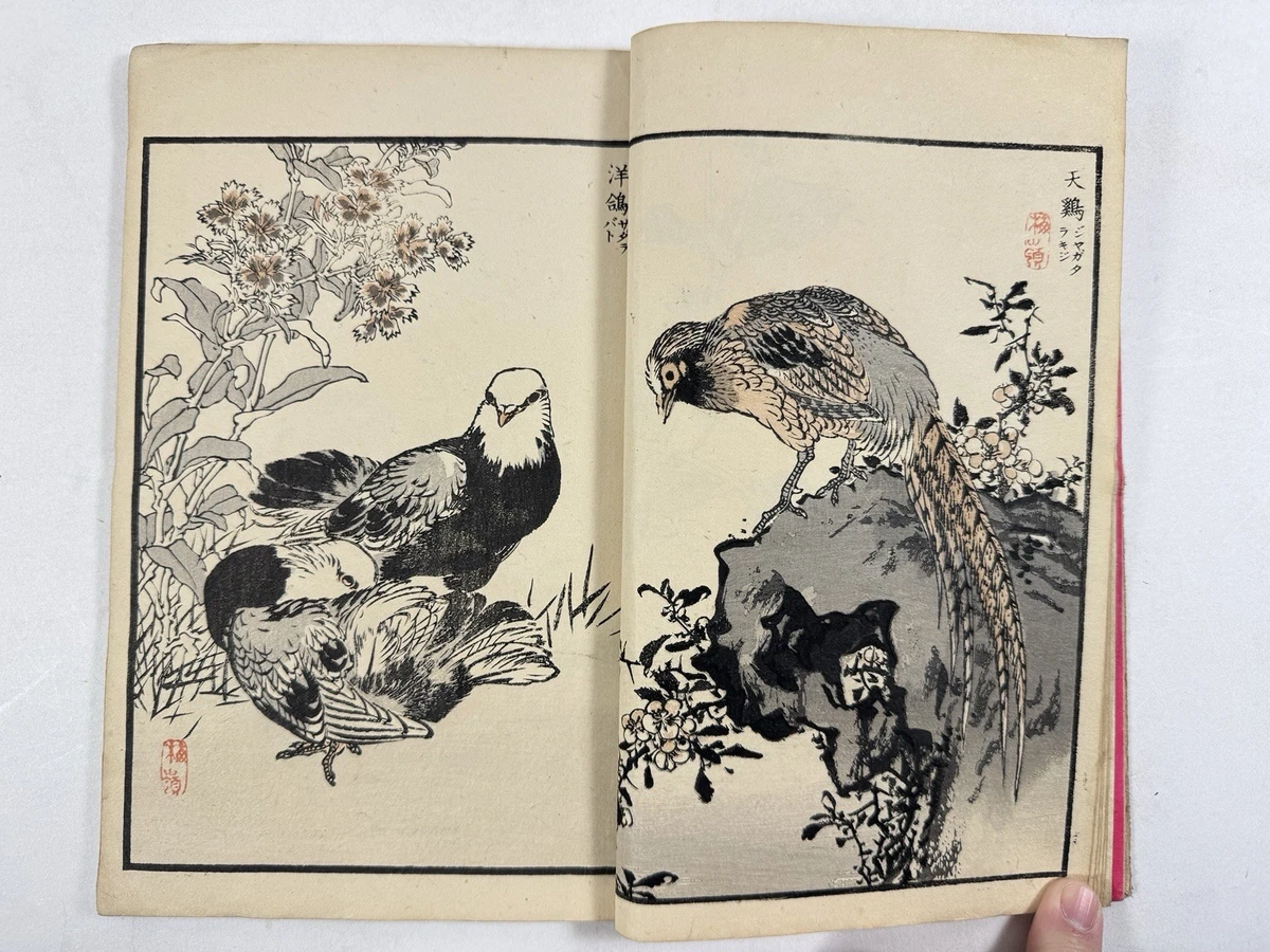 Original 1850-1899 Antiquarian & Collectible Books in Japanese for