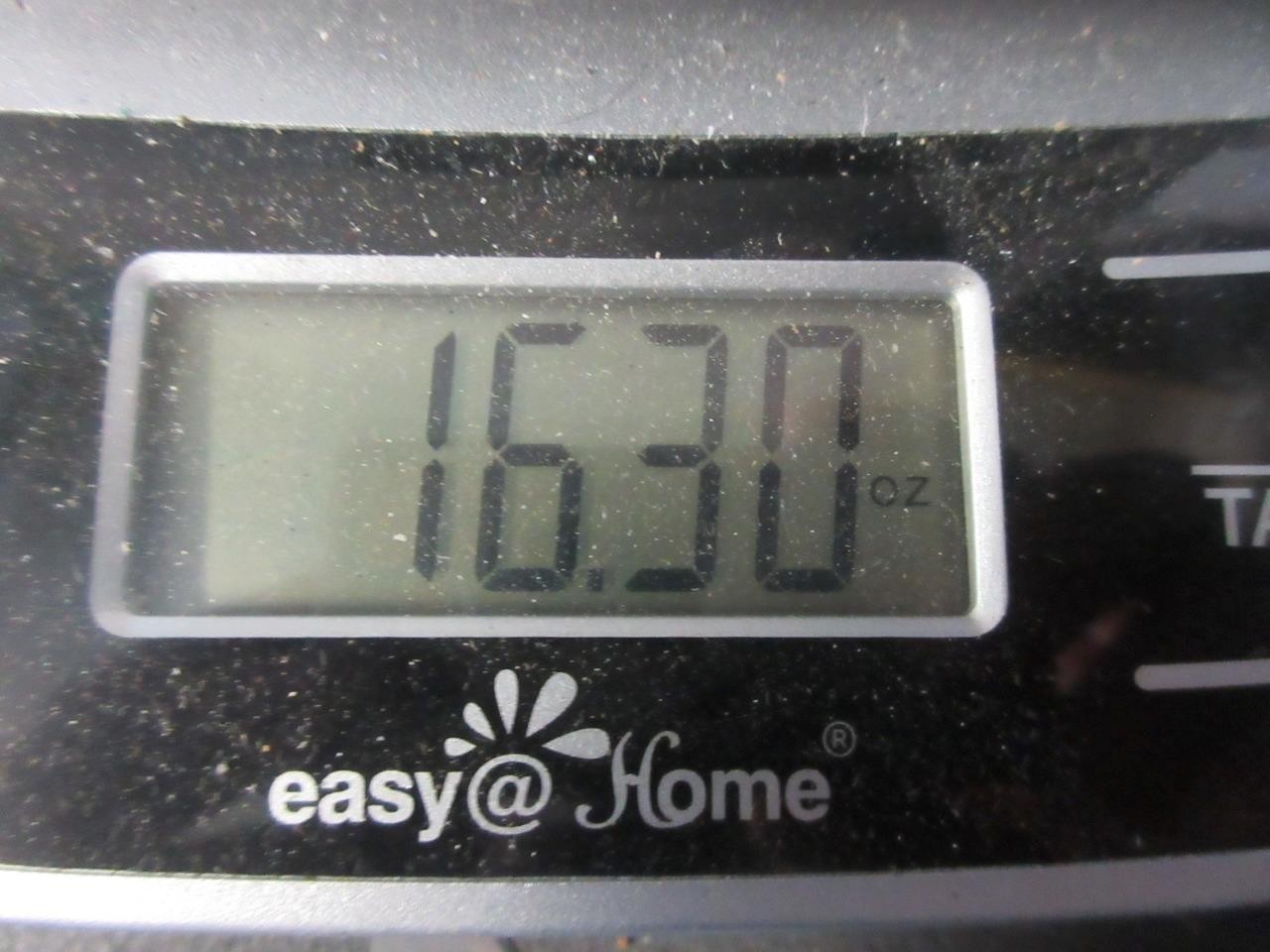 Picture 16 of 16