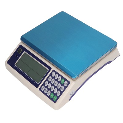 High Precision 15kg 0.5g Industrial Inventory Coins Piece Counting Scale