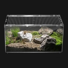 Clioran Reptile Terrarium, Tarantula Enclosure, Lizard Habitat, Insect Housing