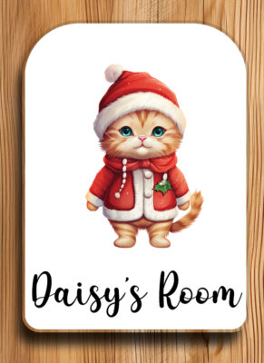 Personalised Christmas Cat Acrylic Door Sign Plaque-Kids Bedroom-Grandson Gift