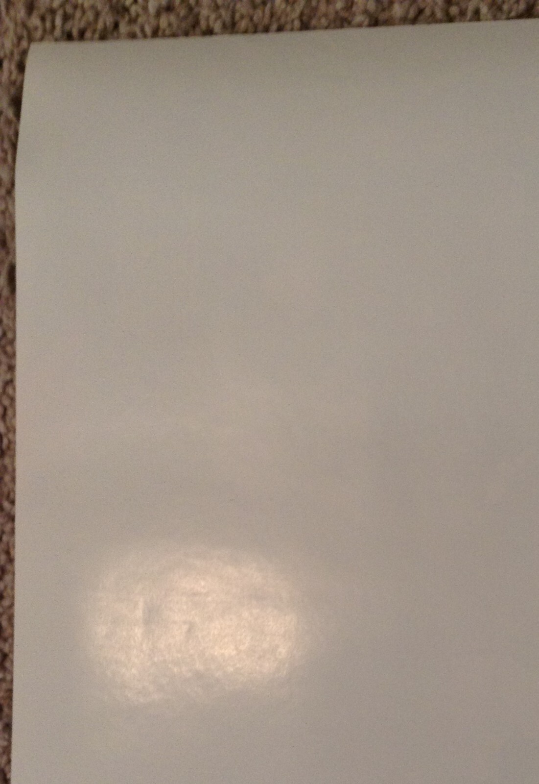 Kate Bush Big 24" x 36" Rare Record Store Promo Poster Face Close-Up EMI America