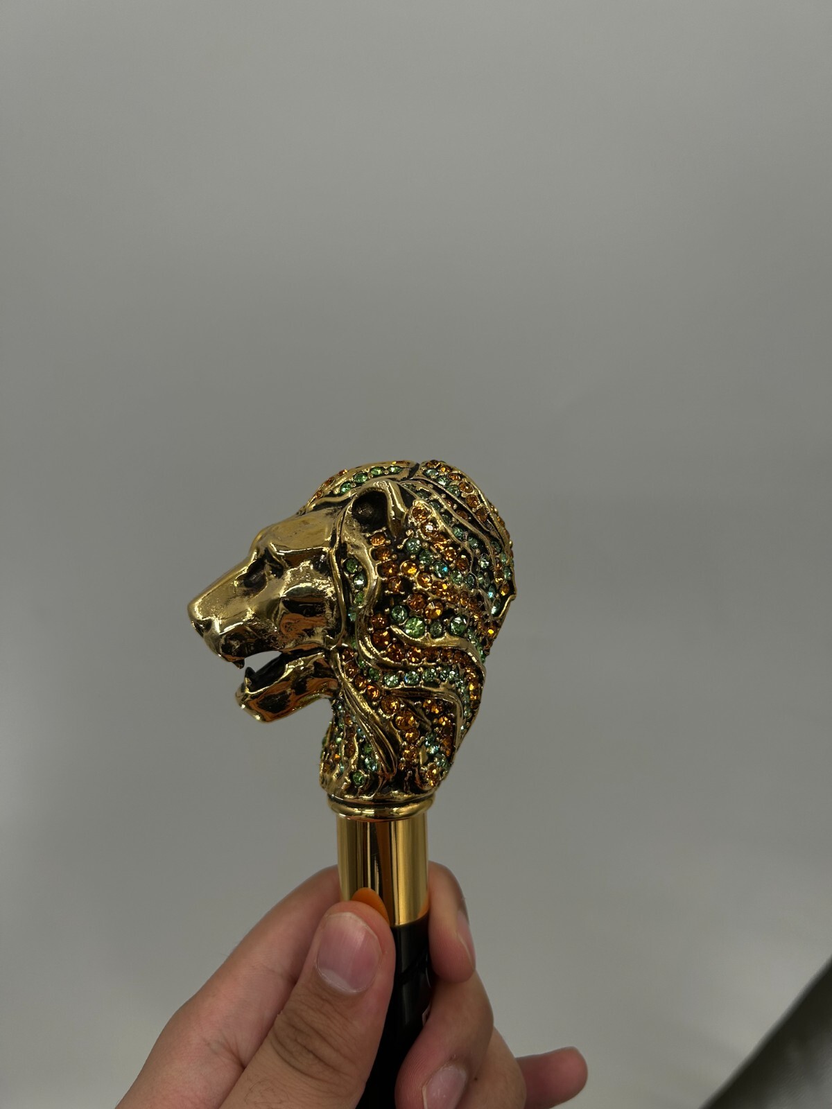 Picture 5 of 6