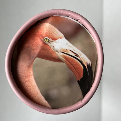 Pink Picasso FRANNIE FLAMINGO Art Kit Paint By Numbers Kit 12 Hour Project - Zdjęcie 5 z 6