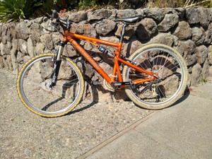 santa cruz blur ebay
