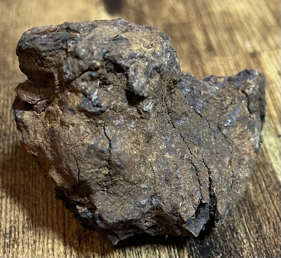 大西班牙语? Shipwreck Clump Colonial Era 铁质? 发现圣地亚哥大量硬币400克 — 第 3/4 张图片