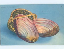 Pre-Chrome ANIMAL SCENE Cape Cod Massachusetts MA o/19 AH5933