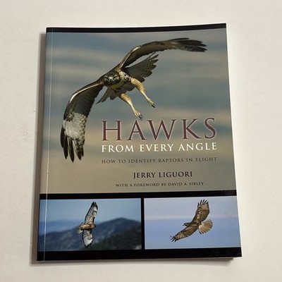 Hawks from Every Angle: How to Identify Raptors In Flight, Paperback