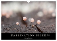 Faszination Pilze 2026 (Wandkalender 2026 Din A3 Quer), Calvendo Monatskalender