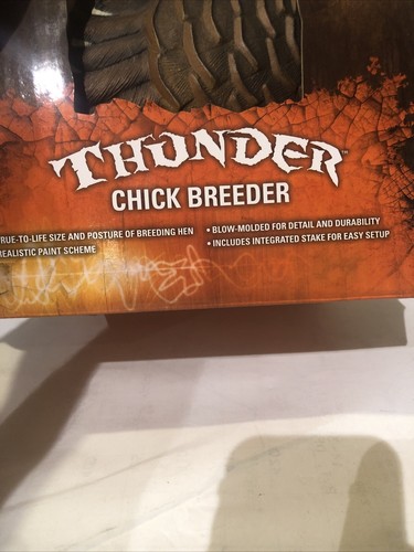 Flextone Thunder Chick Breeder Turkey Hen Decoy | Life Size | Includes Stake - Picture 6 of 6