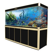 large fish tank